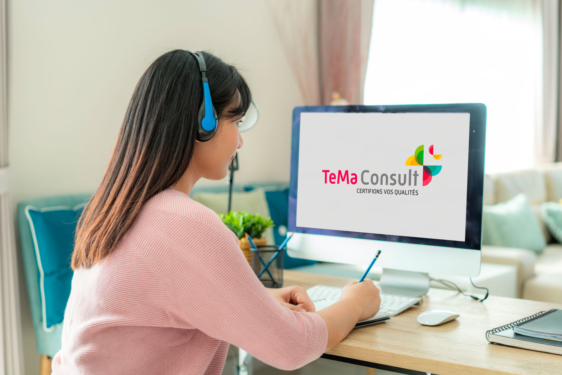 TeMa Consult