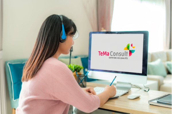 TeMa Consult TeMa Consult